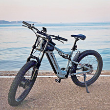 Shengmil0 E Bike Dual motor