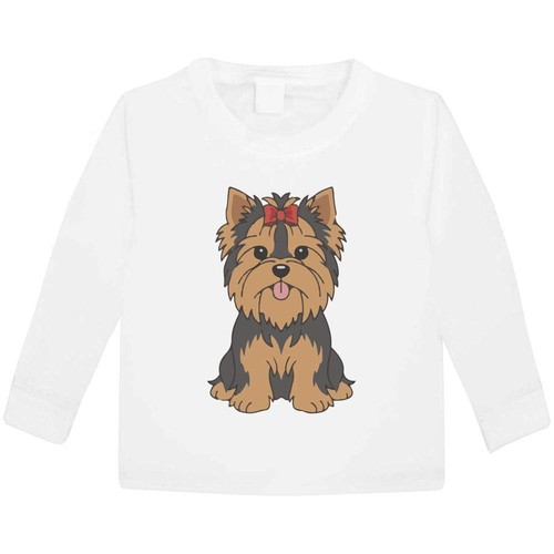 Adorable yorkshire terrier - 'adorable, terrier'