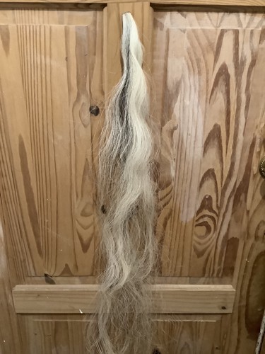 Blonde with piebald fleck - blonde,