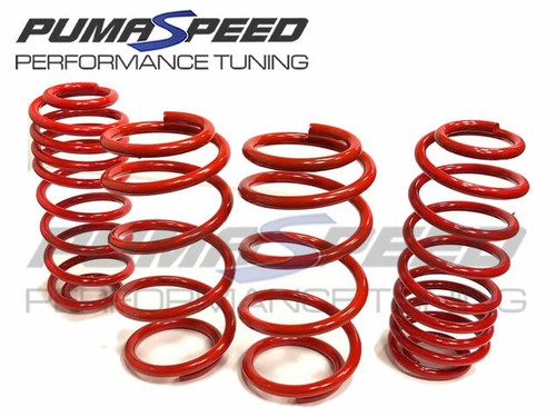 Pumaspeed stance lowering - pumaspeed,
