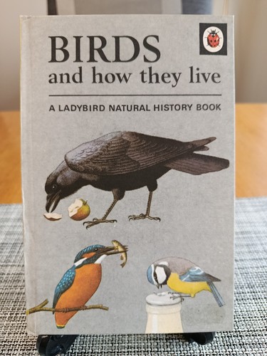 Birds and how they - how,