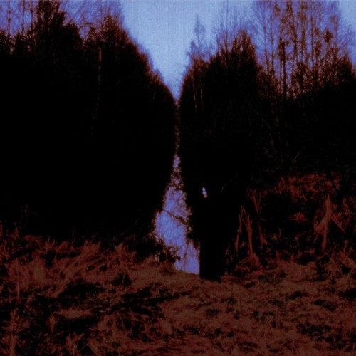 Opeth arms your hearse - arms,, new