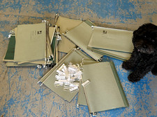 50 Green Hanging Suspension