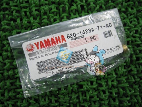 Genuine yamaha r125l - yamaha, tt-r125l