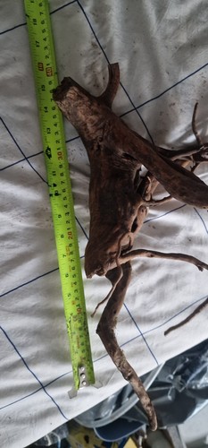 Large collection bogwood - large,