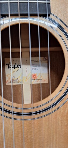 Taylor 312ce nylon - 312ce-n,