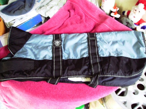 Waterproof dog coat large - coat,
