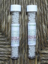 SWEET ITCH AND ALLERGIES IN