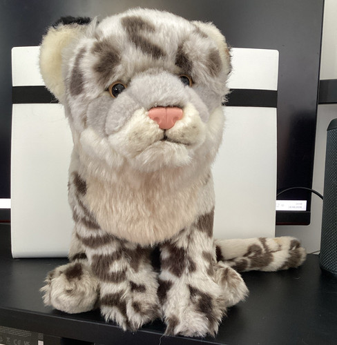 Webkinz signature snow - webkinz,