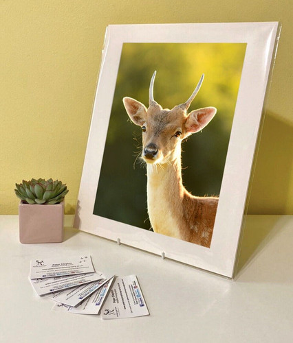 Art print image picture photo - art,