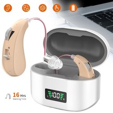 1 Pair Of Digital Hearing Aid