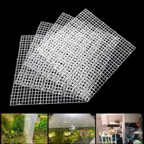 Pcs aquarium fish - 4, tank