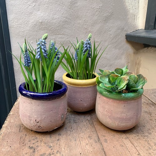 Rustico terracotta plant pot - terracotta,