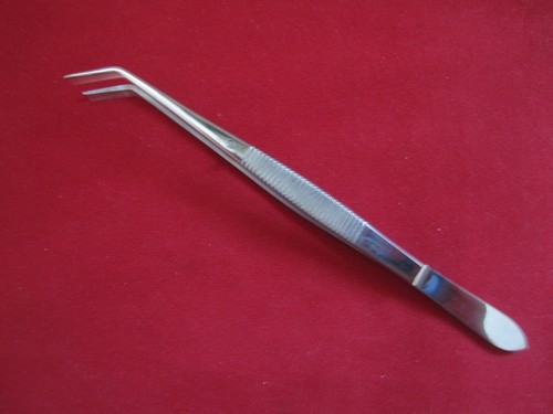 Equine dental tweezers forceps - equine,