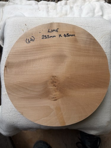 Pippy elm woodturning - elm,