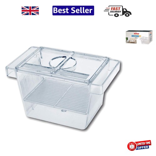 Classic white fish breeding - classic,