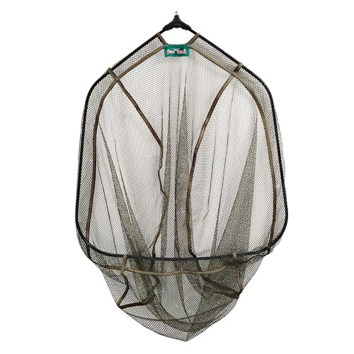 High quality specimen - 28",