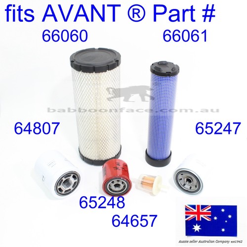 Fits avant loader - loader, filter