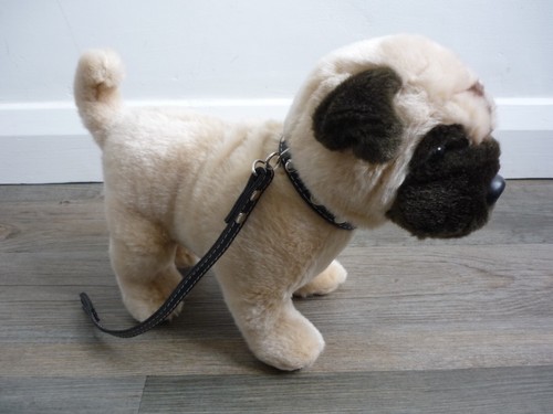 Keel signature puppies - keel,