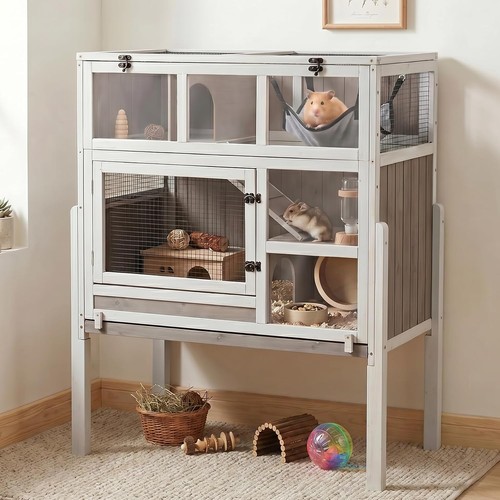 Petscosset large guinea pig - guinea,