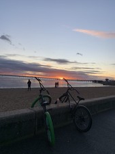 Mafia Medusa 26-inch Wheelie