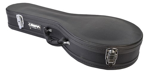 Mandolin case style - mandolin,