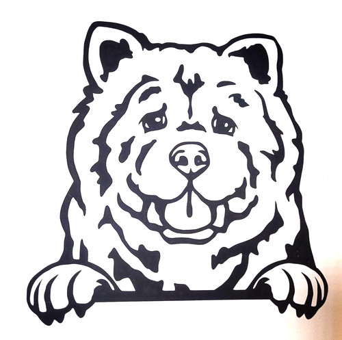 Chow dog - chow,