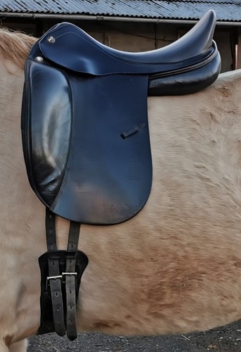 Prestige d1 dressage - 17",