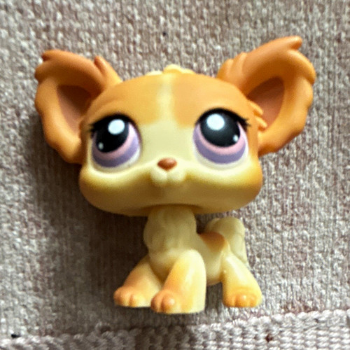 Littlest pet shop chihuahua - pet,