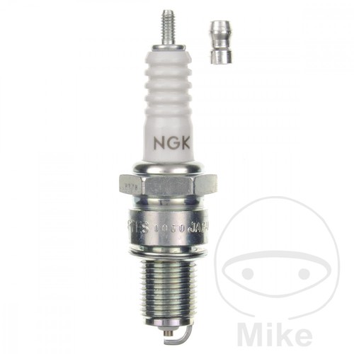 Ngk spark plug - ngk,