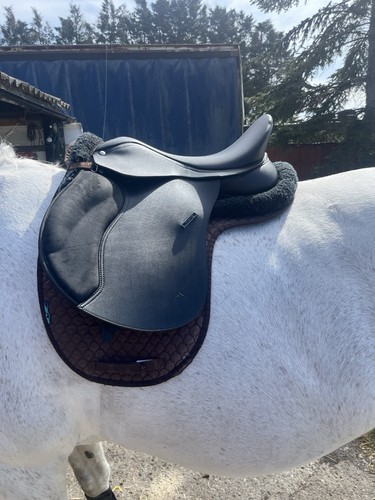 Wintec saddle 17 - saddle, 17”