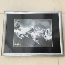 Official Guinness White Horses