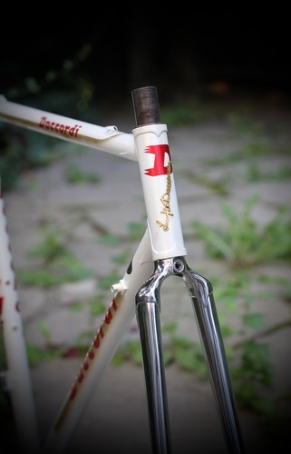 Daccordi grips frame b710 54 - daccordi, /