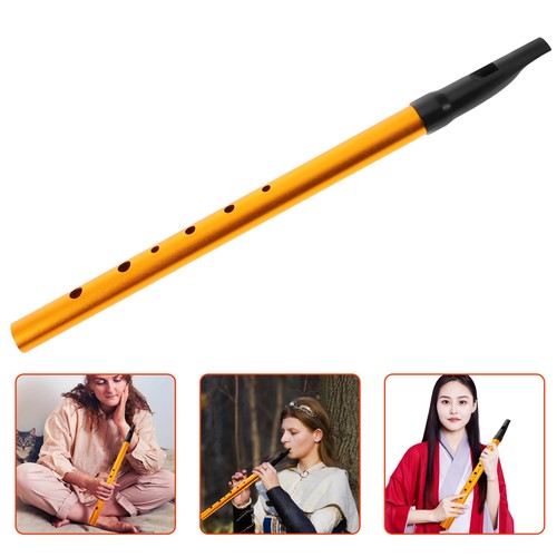 Flute instrument for - flute,