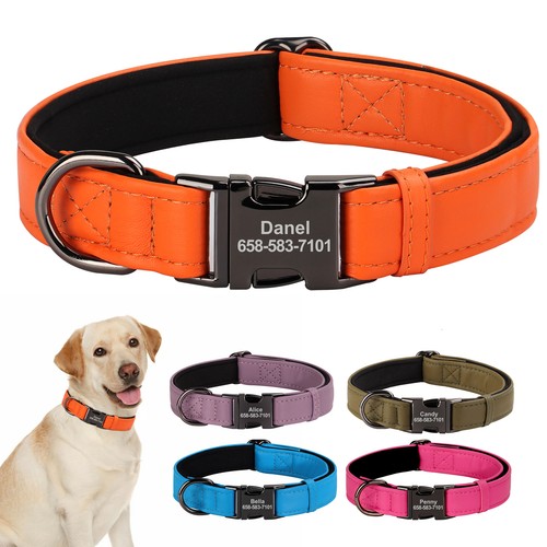 Leather personalized dog - pu,