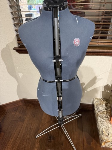 Singer adjustable dress - dress, form