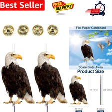 Hawk Bird Scarer, Pigeon