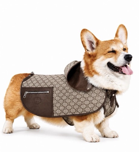 Auth gucci dog coat supreme - auth,