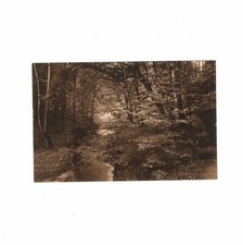 Postcard An der Zanze/Poland