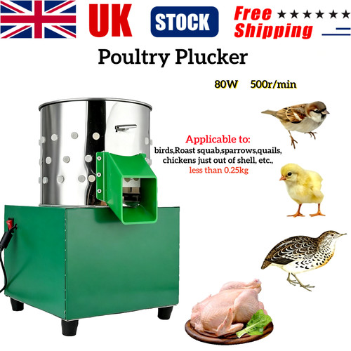 Poultry plucker birds - birds, quails