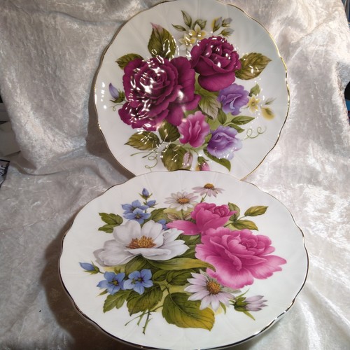 English plates edwardian - english,
