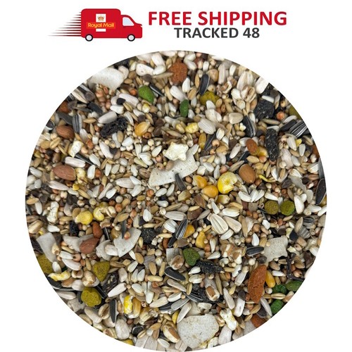 Parrot vam low sunflower - vam,