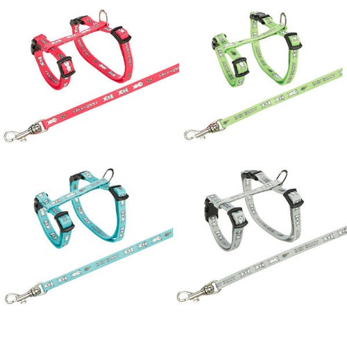 Rabbit harness and lead
