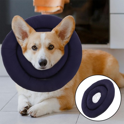 Comfy elizabethan collar - comfy,