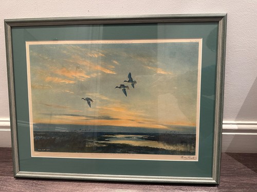 Peter scott signed print and - peter,