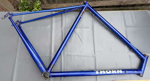Thorn audax reynolds - audax, /