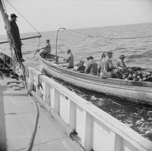Board fishing boat - fishing, alden