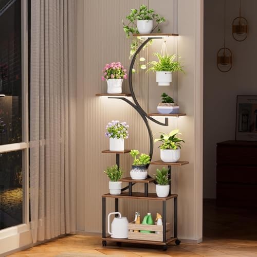 Ndoor plant stand grow - plant,