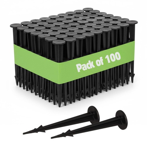 Pack 100 terrapeg mini - of,