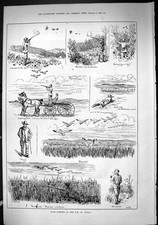 Old 1885 Wild Fowling Shooting
